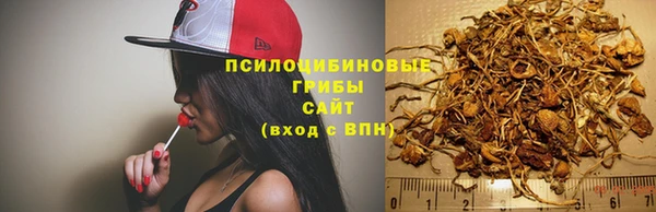спиды Алексин