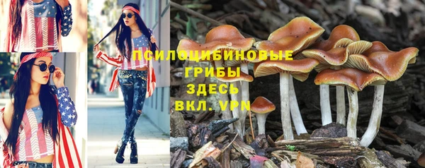 винт Алзамай