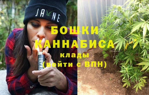 винт Алзамай