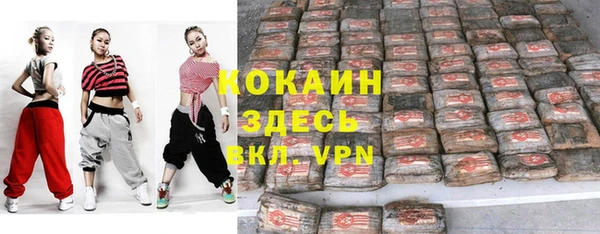 винт Алзамай