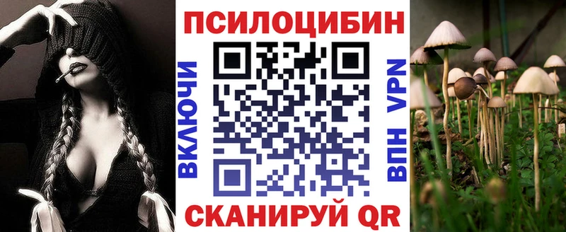 Купить закладки  Поворино  Галлюциногенные грибы Cubensis 